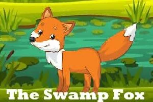 FORMER MARION CITY COUNCILMAN JASON SCHABER ANNOUNCES ANOTHER RUN FOR MARION COUNTY COMMISSIONER