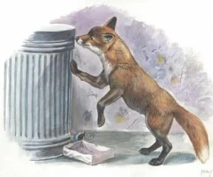 CITY OF MARION SEEKS TO ELIMINATE RECYCLING PROGRAM AND INCREASE TRASH SERVICE FEES