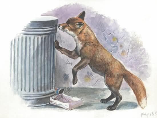 CITY OF MARION SEEKS TO ELIMINATE RECYCLING PROGRAM AND INCREASE TRASH SERVICE FEES