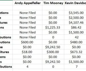 HOW MUCH MONEY IS INVOLVED IN A MARION COUNTY COMMISSIONER PRIMARY?